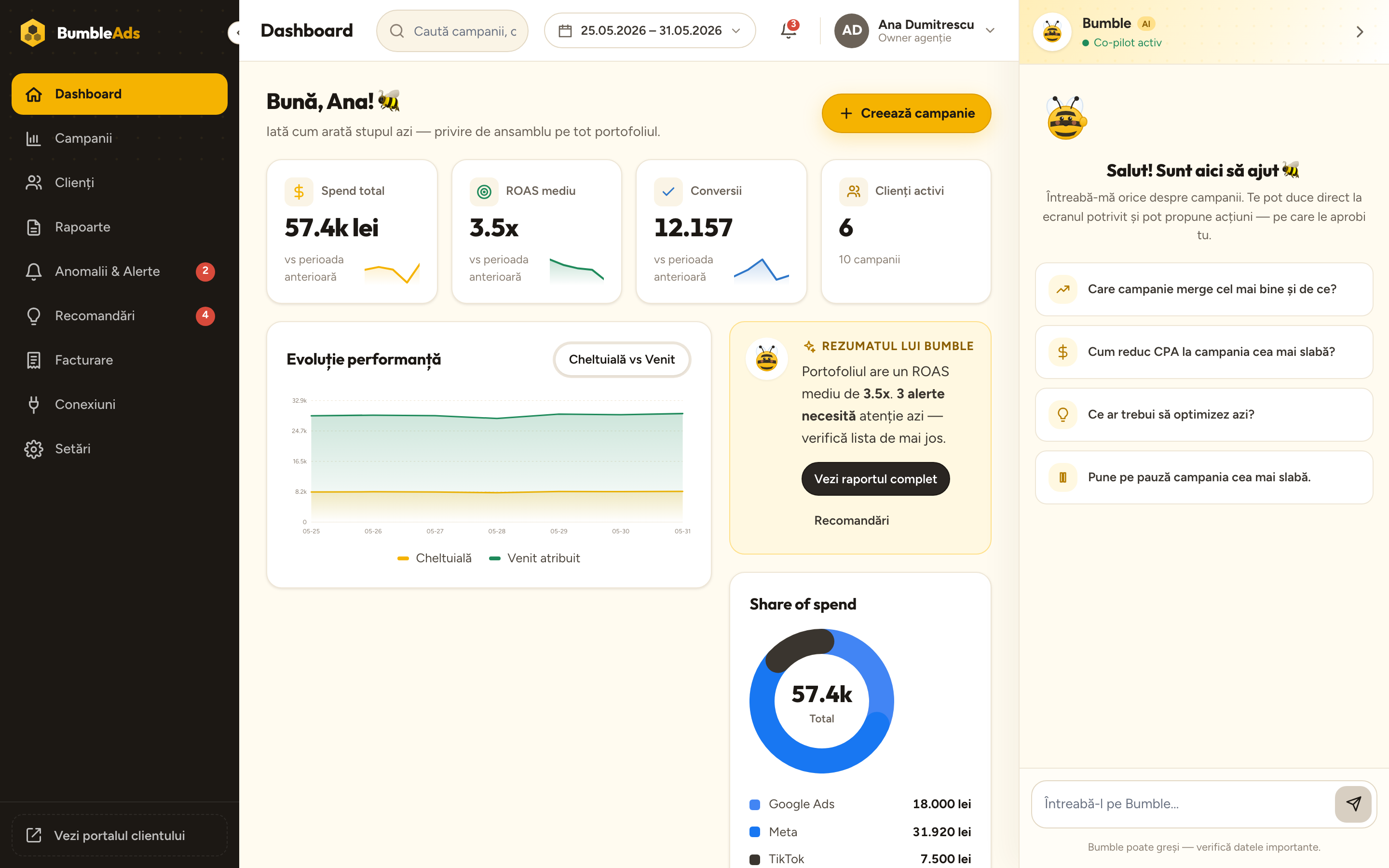 Dashboard BumbleAds — KPI, evoluție performanță, share of spend și asistentul Bumble